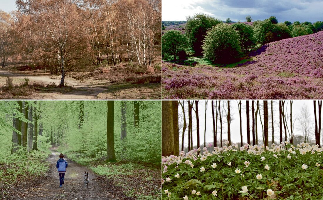 Veluwse KLASSE toont het beste van de Veluwe