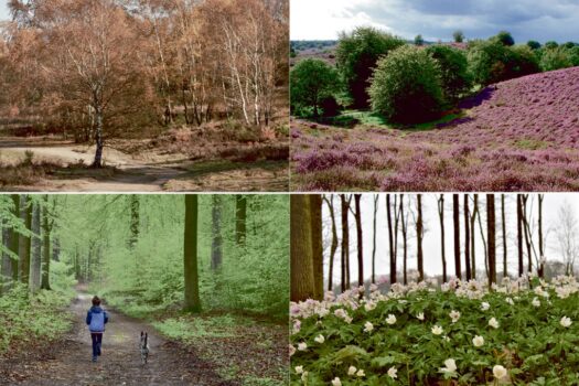 Veluwse KLASSE toont het beste van de Veluwe