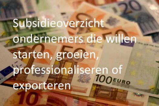 Brilliant Work, verkozen tot beste coachings- en adviesbureau voor ZZP en MKB van Nederland, helpt ondernemers meestal op een gesubsidieerde basis. O