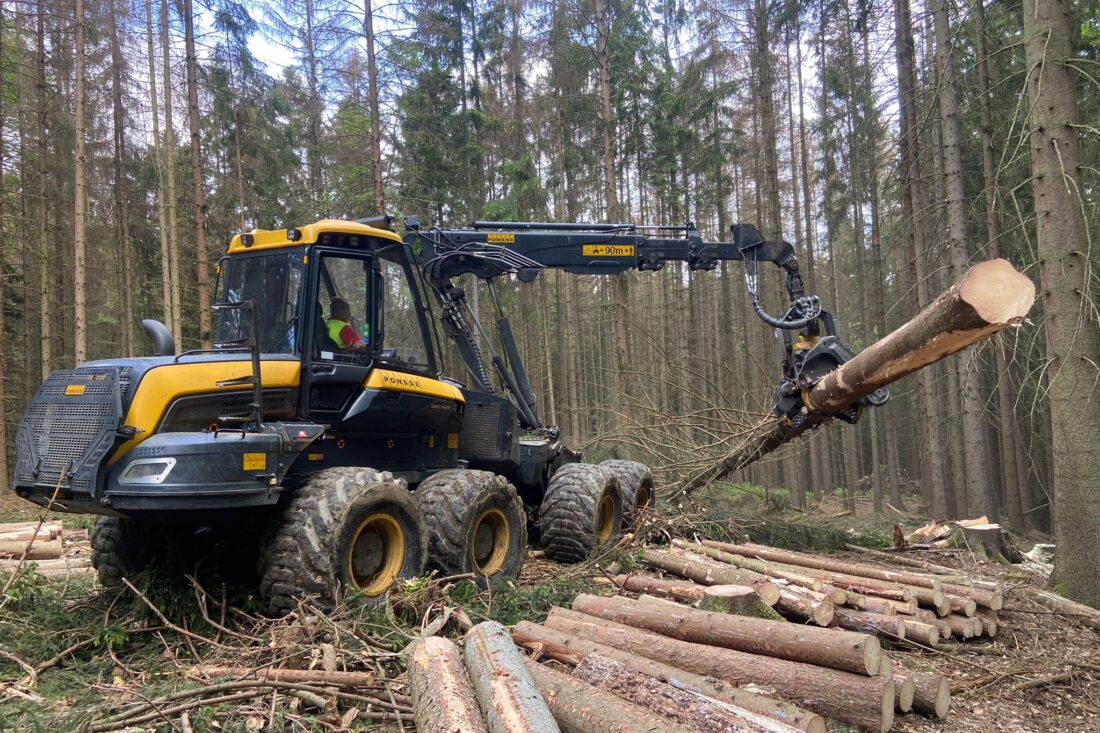 Devobo Forest Service oogst hout uit duurzaam beheerde bossen
