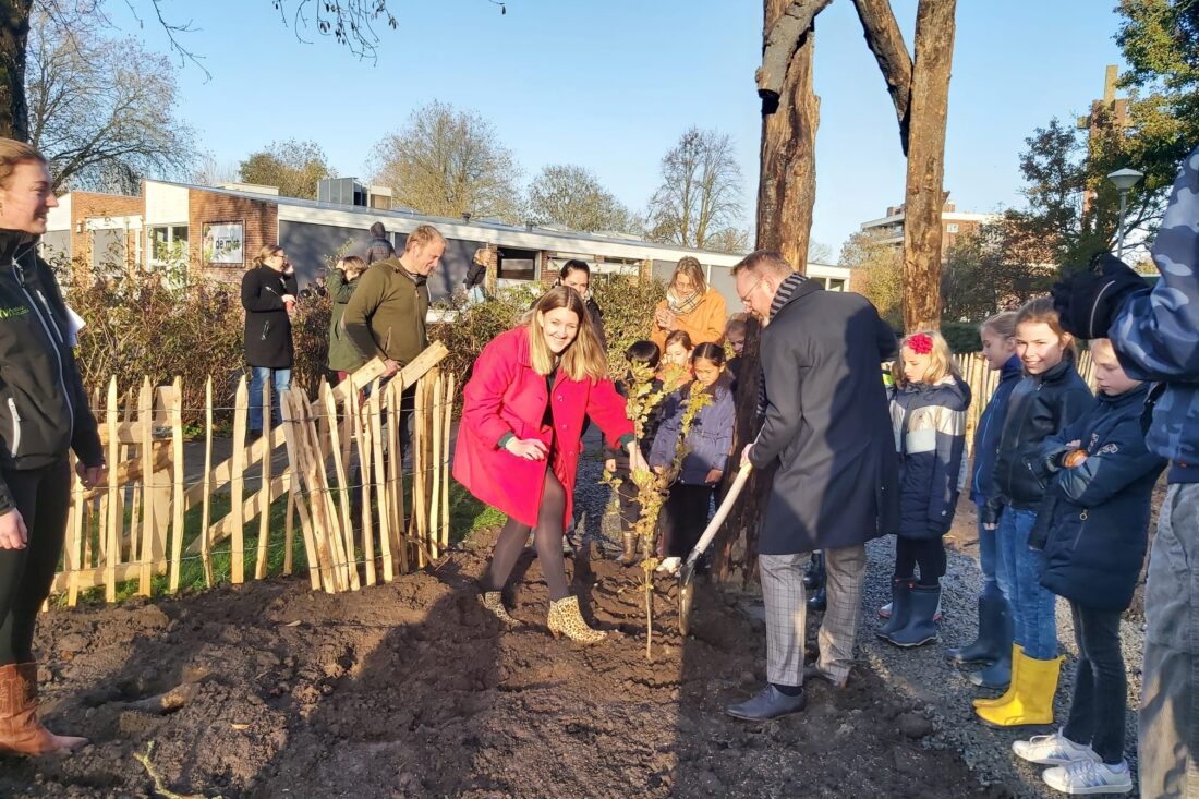 'De Mirt Jungle' met 600 bomen is aangeplant door leerlingen van IKC de Mirt