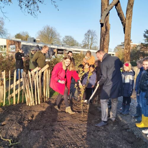 'De Mirt Jungle' met 600 bomen is aangeplant door leerlingen van IKC de Mirt