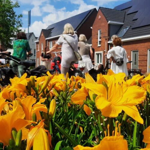 Een groene buurt? Groene Lopers laten zien hoe je dat aanpakt