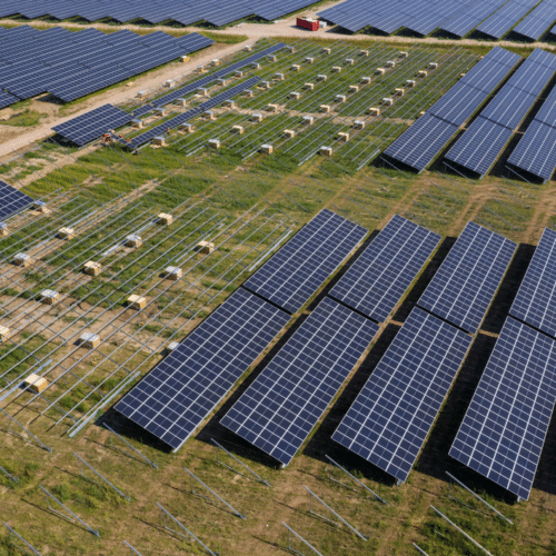 Grolsch gaat gebruik maken van zonne-energie uit nieuw te bouwen zonneparken