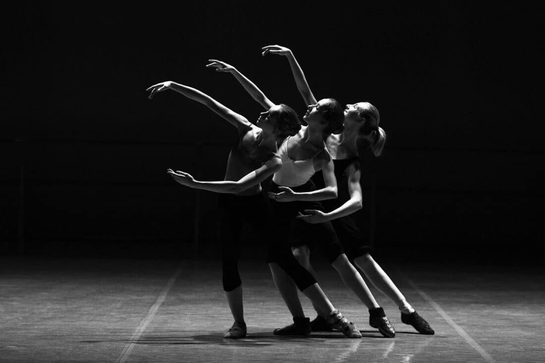 Introdans danst in Doetinchem het frisse en moderne Swan Lake