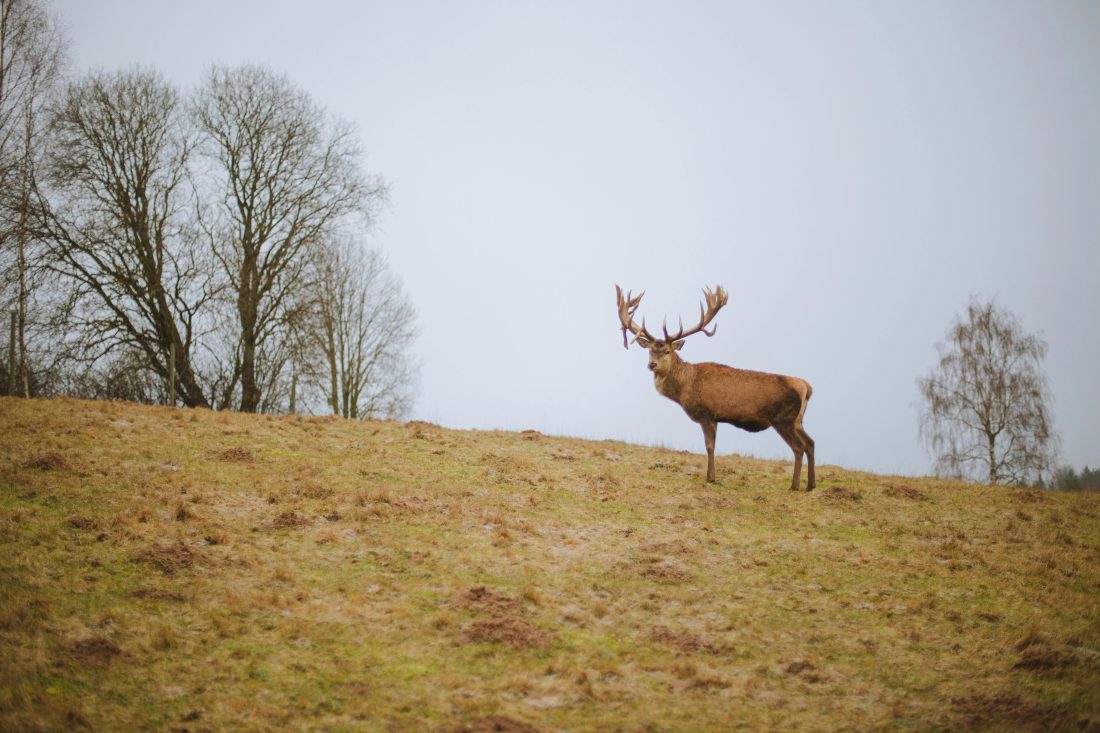 Leuke weetjes over Oost-Nederland