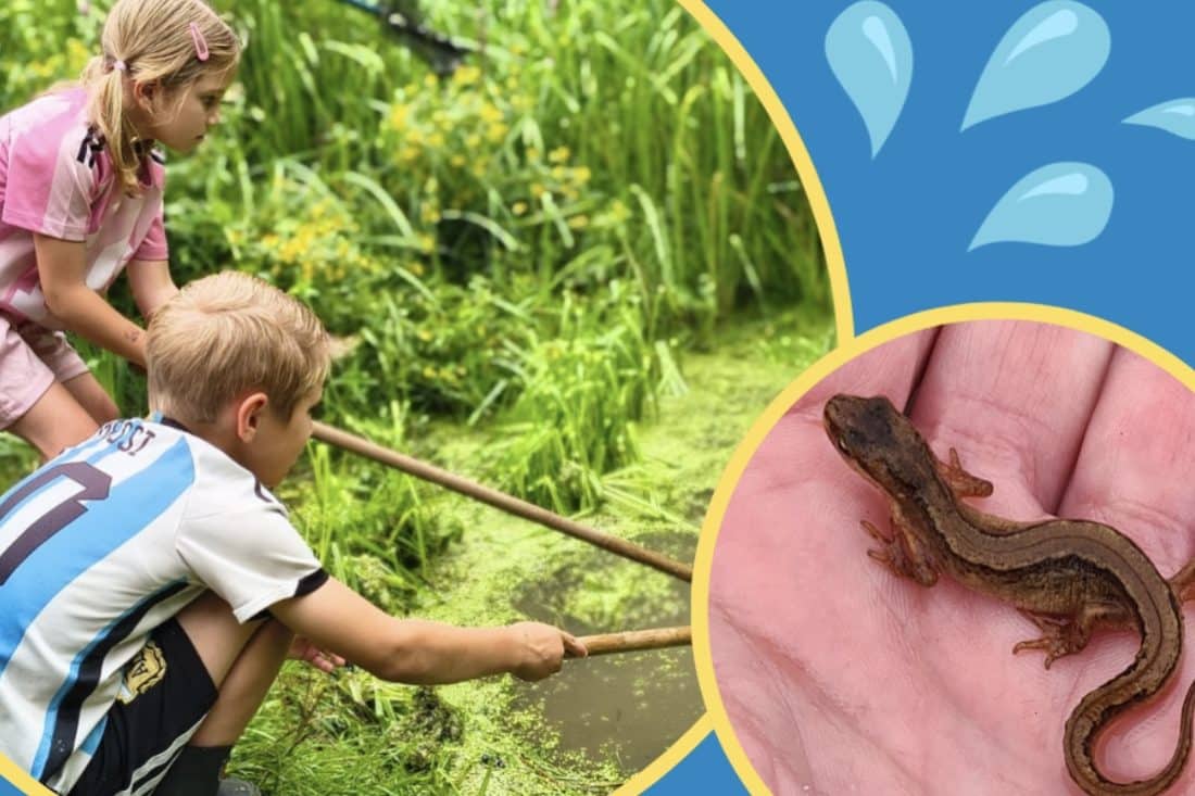Week van de Biodiversiteit